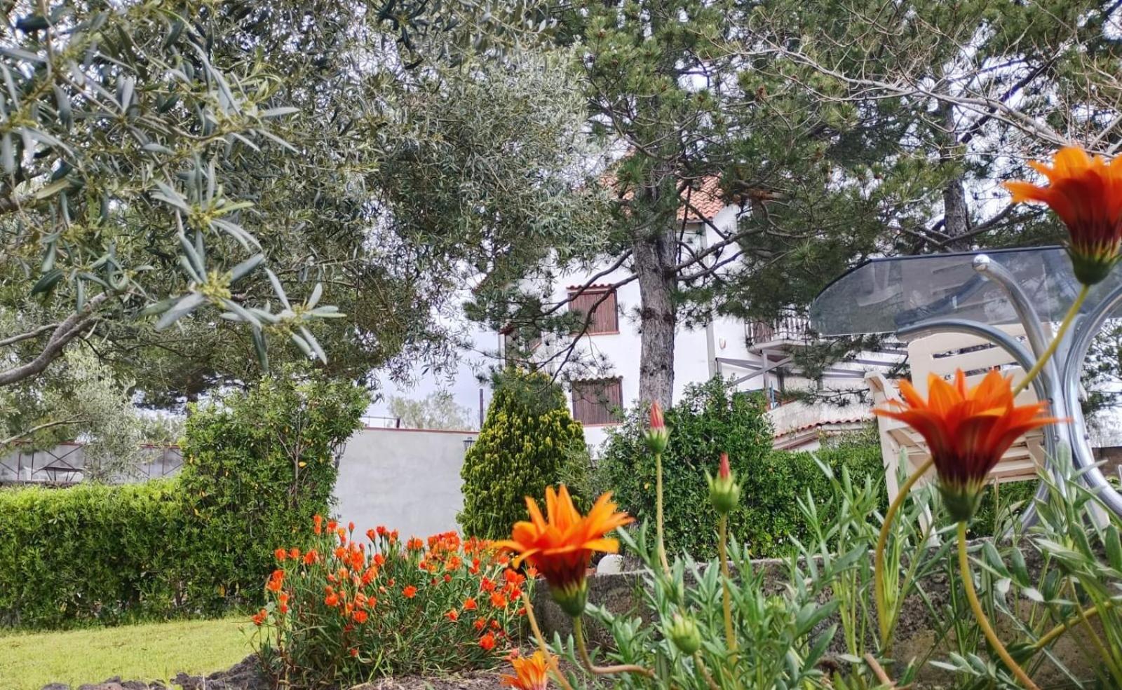 Villa Joele Nicolosi Exteriör bild